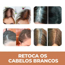 Sevích™ - Tinta de Cabelo em Pó Cobre Todos os Fios Brancos (Compre 1, Leve 2)